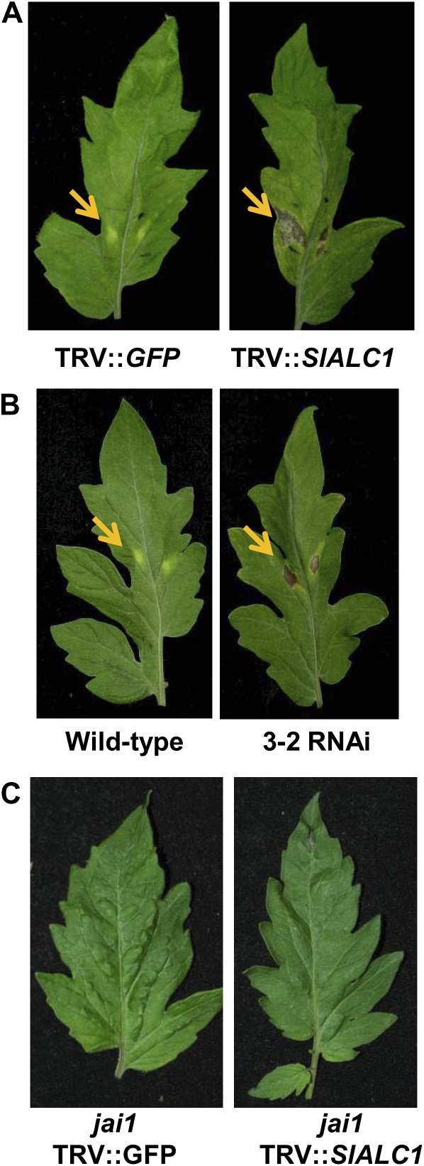 Figure 3.