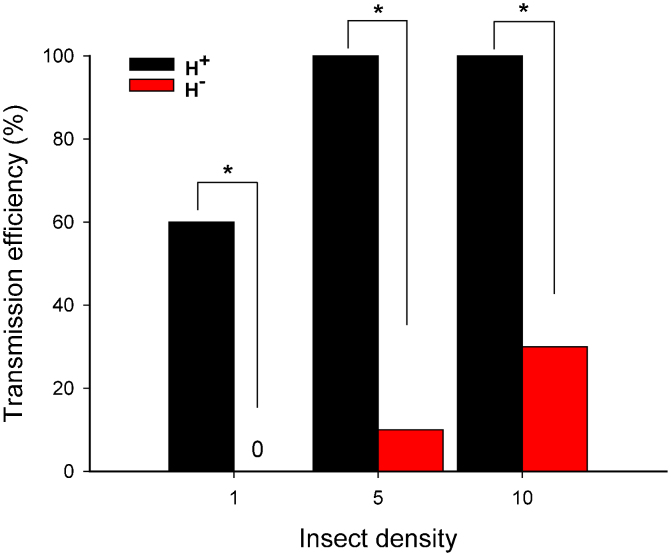 Figure 6