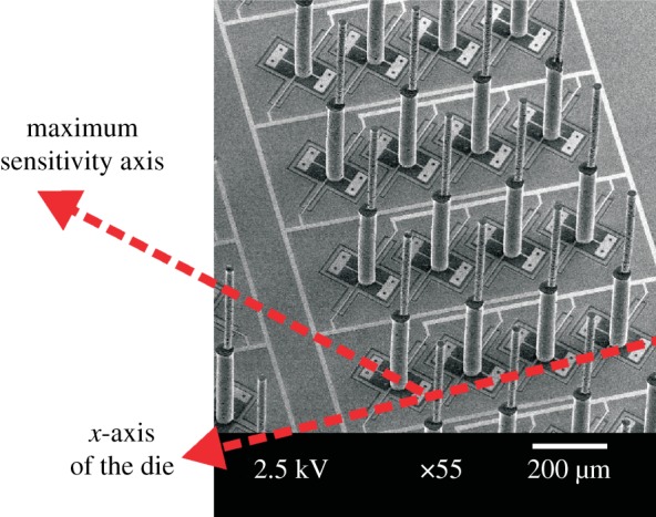 Figure 4.