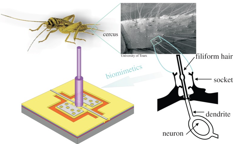 Figure 3.