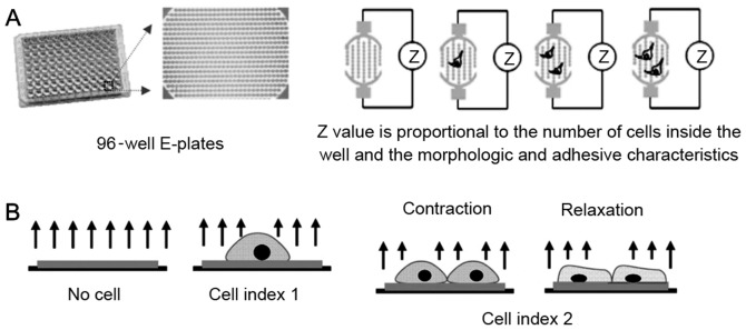 Figure 1.