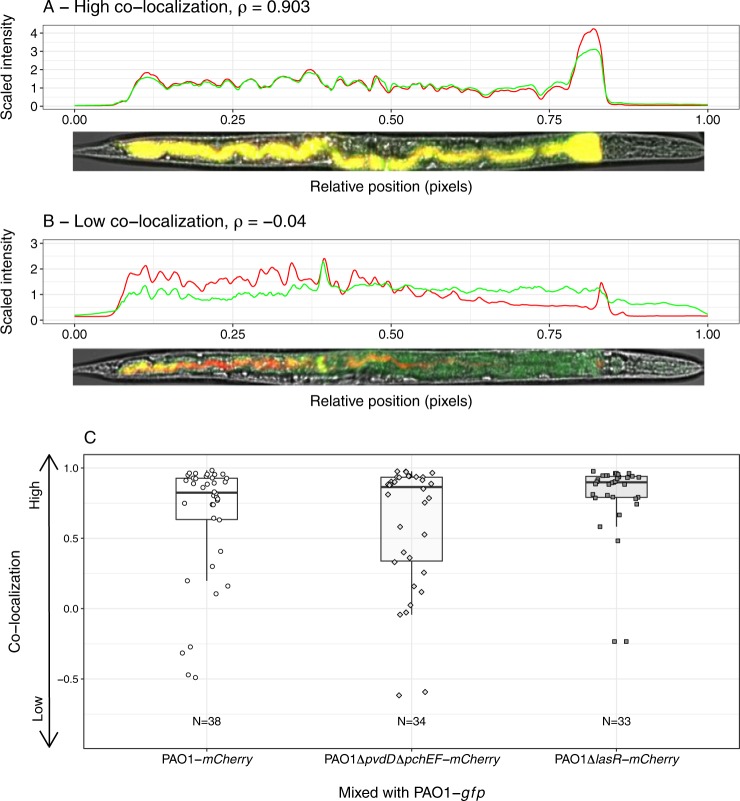 Fig. 6