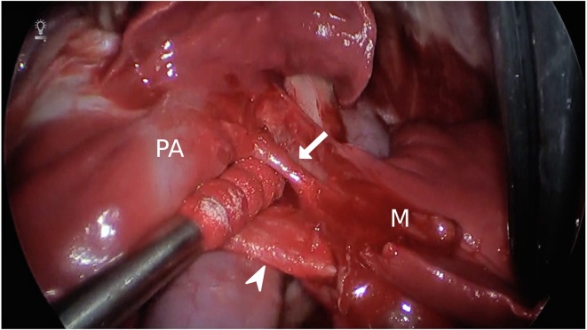 Fig. 3.