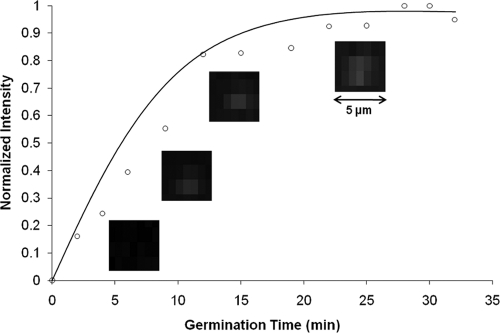 FIG. 2.