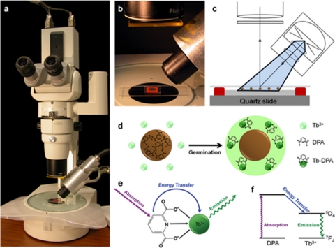 FIG. 1.