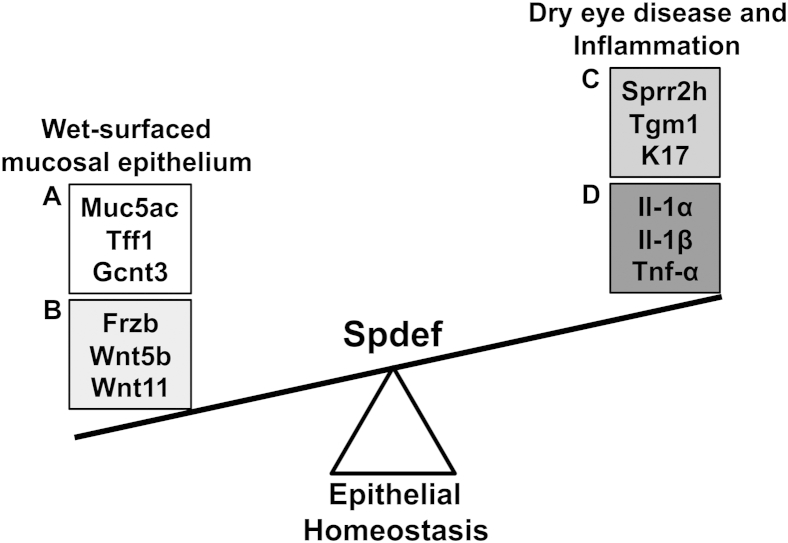 Figure 9