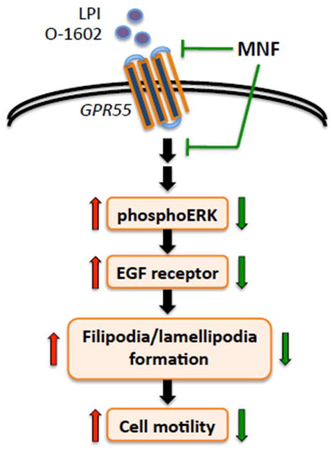 Fig. 10