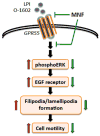 Fig. 10