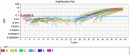 Fig 3.
