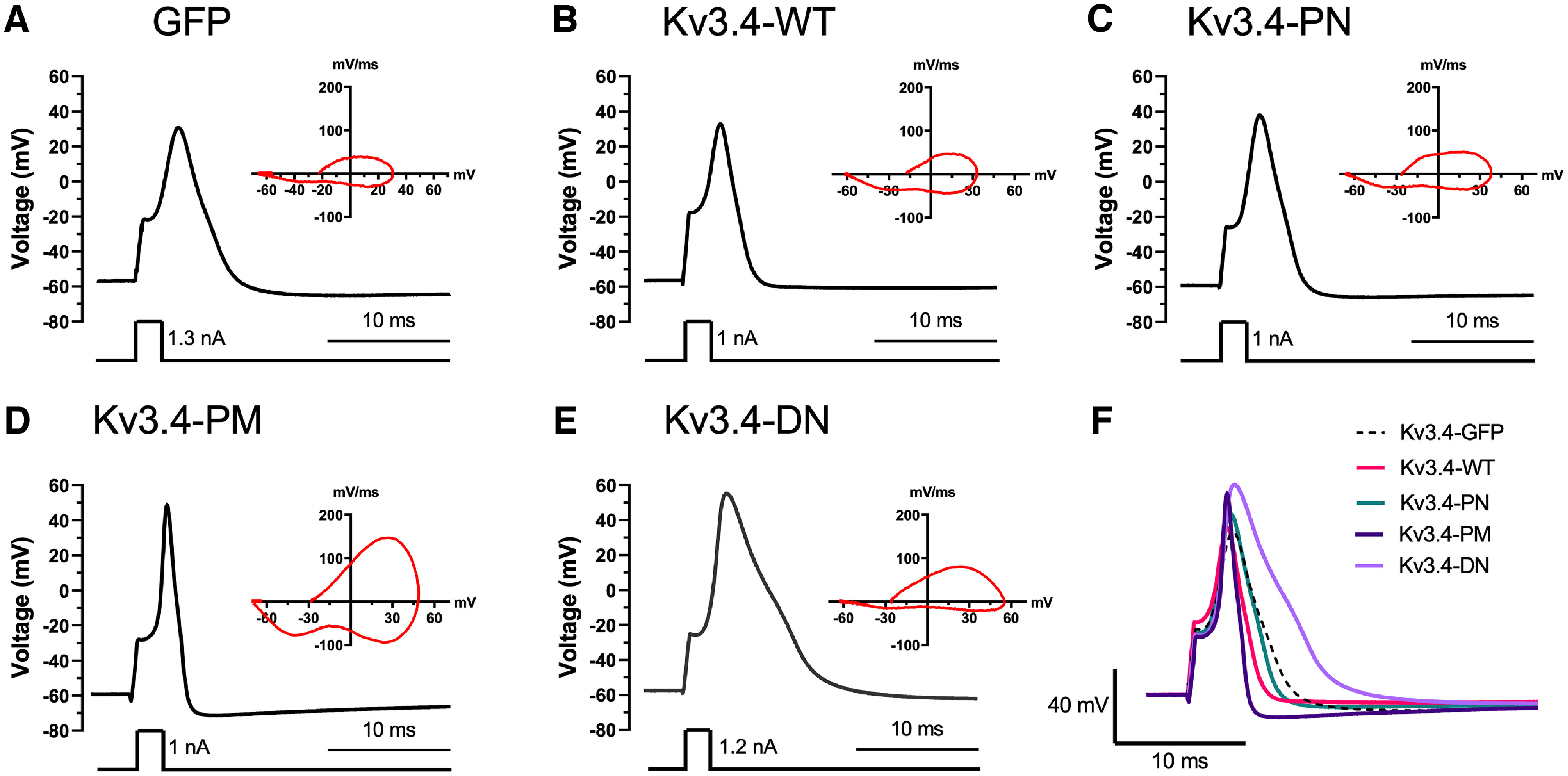 Figure 5.