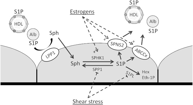 Fig. 3.