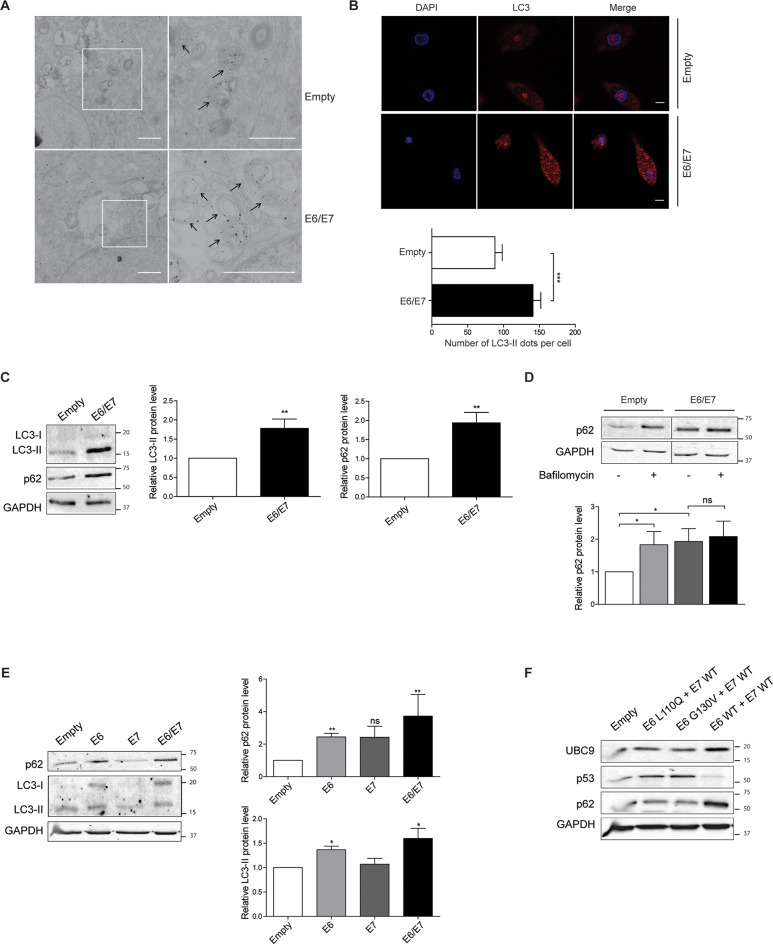 Fig 8