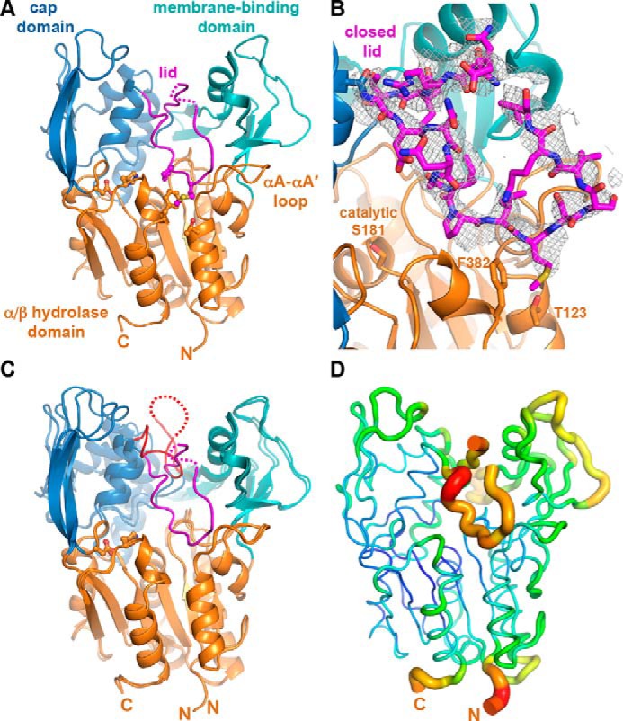 Figure 1.