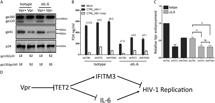 FIG 6