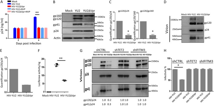 FIG 4