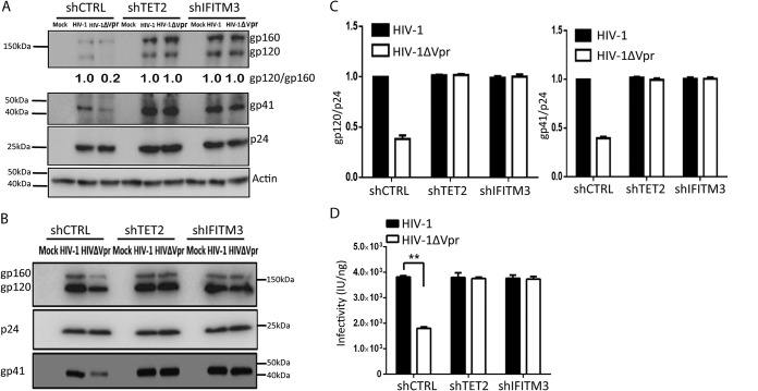 FIG 3