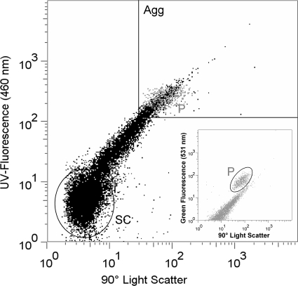 FIG. 2.