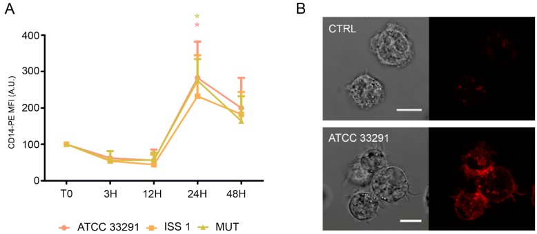 Figure 6