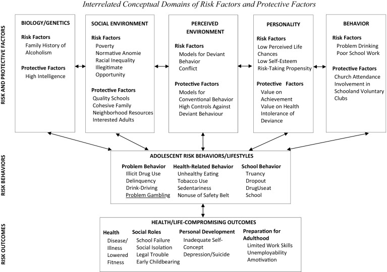 Fig. 2