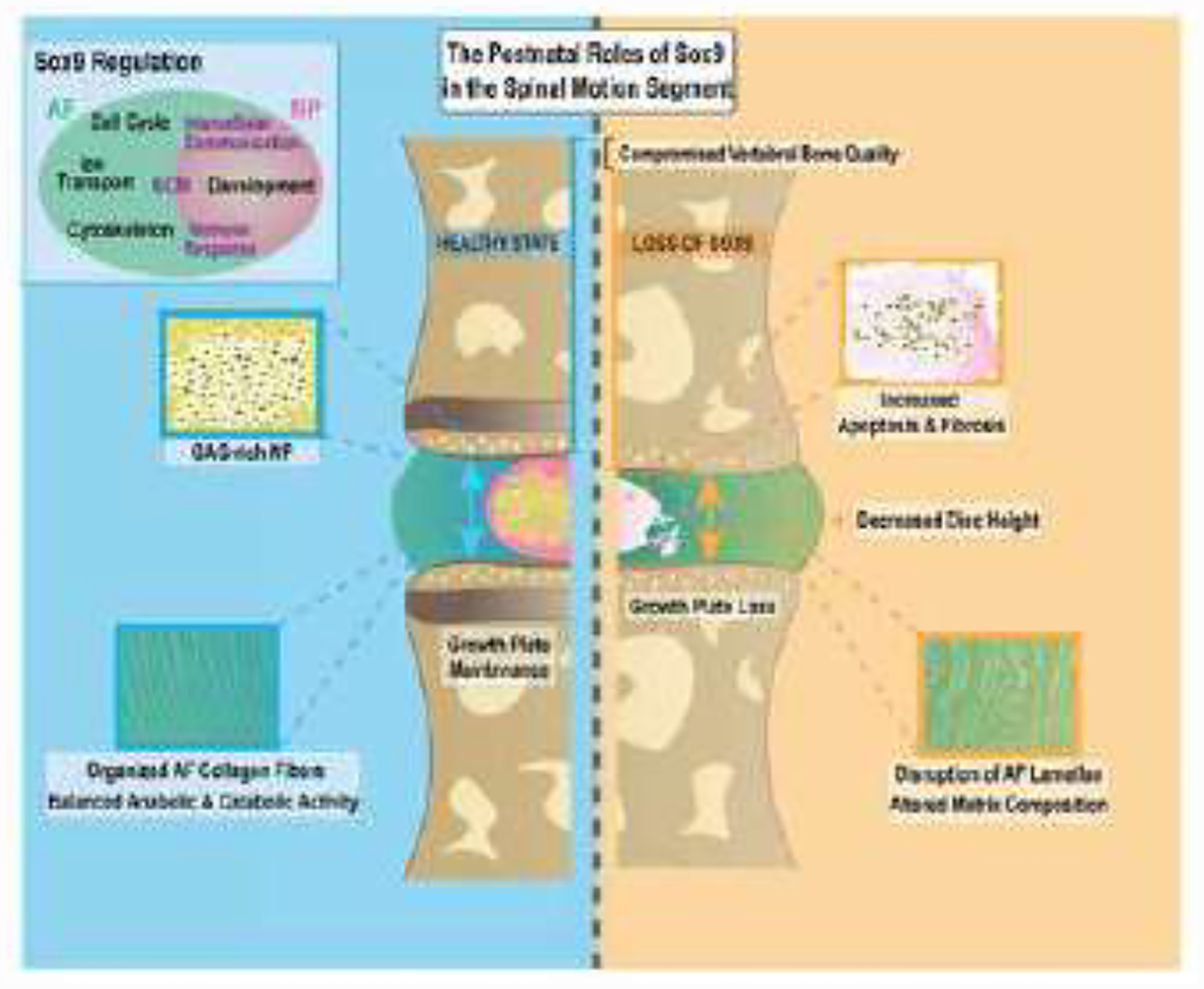 Figure 10.