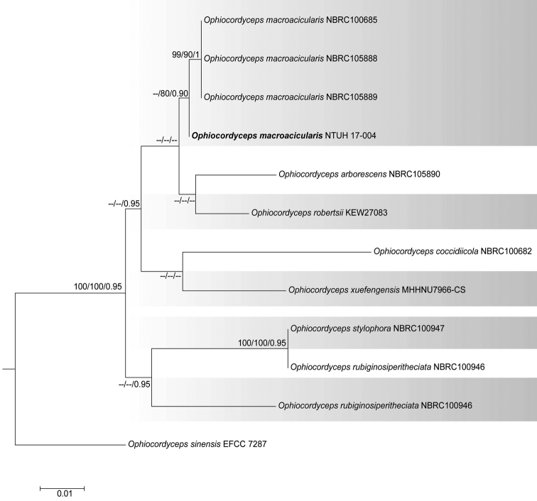 Figure 2.