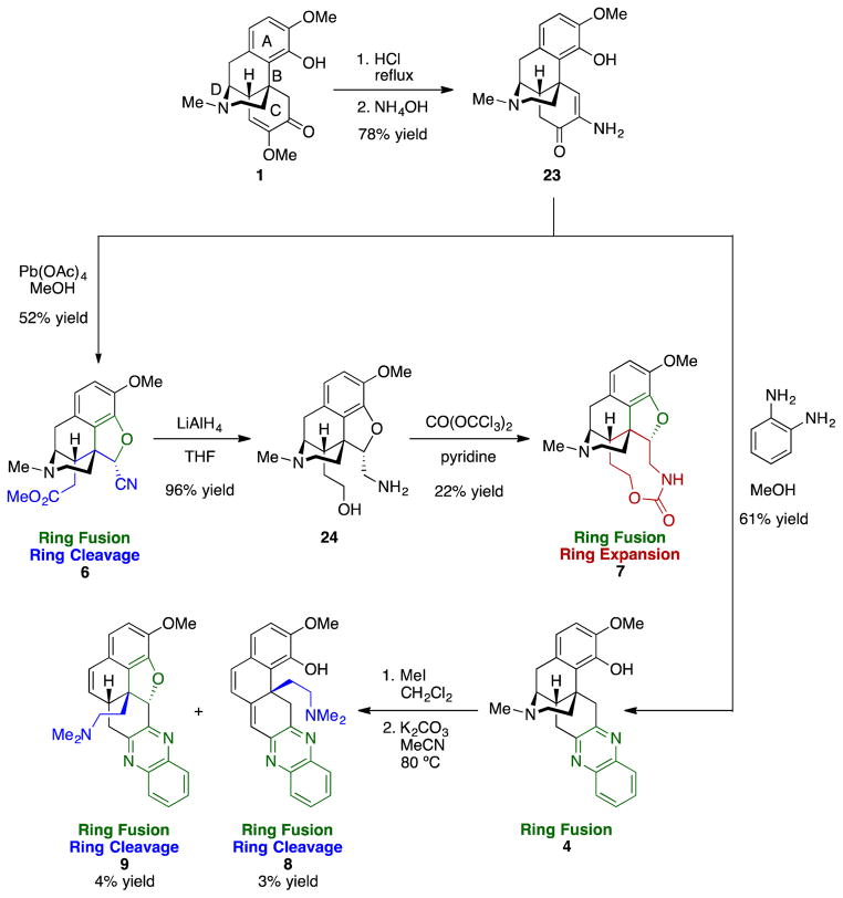 Scheme 3