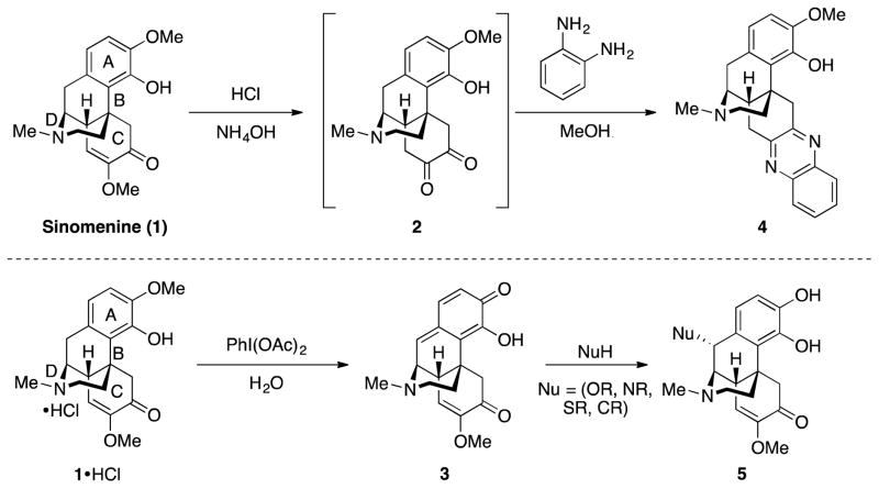 Scheme 1