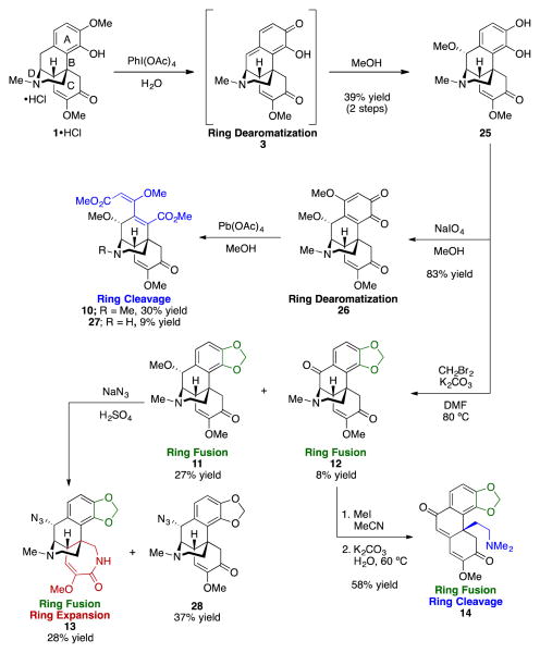 Scheme 4