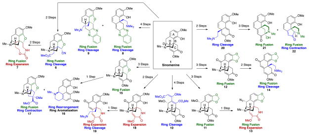 Scheme 2