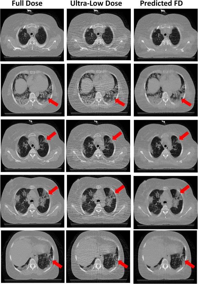 Fig. 6