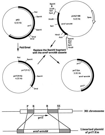 FIG. 6