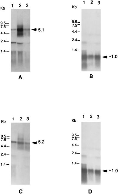 FIG. 8