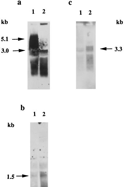 FIG. 5