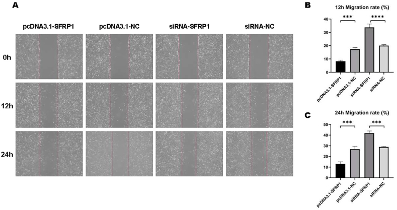 Fig. 5