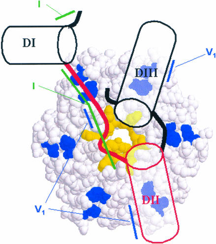 FIGURE 9.