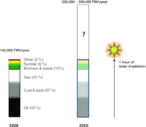 Fig. 1