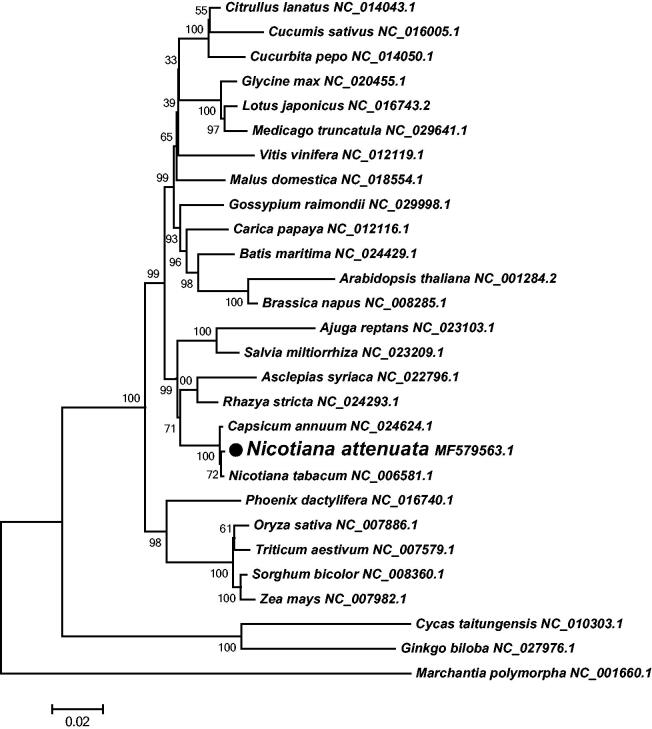 Figure 1.