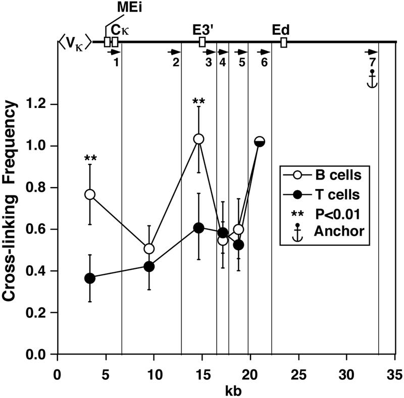 FIG. 9.