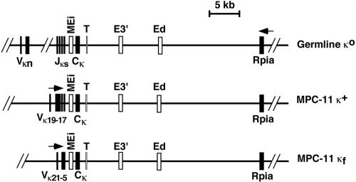 FIG. 2.