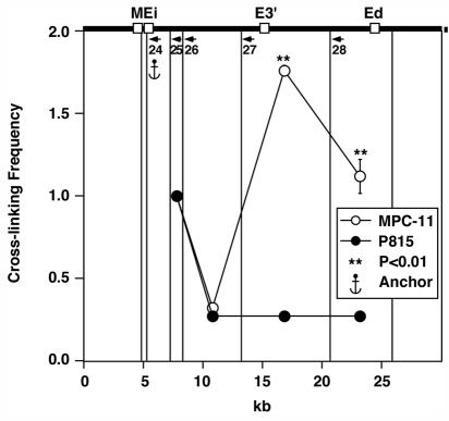 FIG. 8.