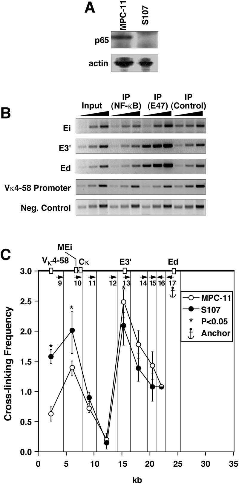 FIG. 12.