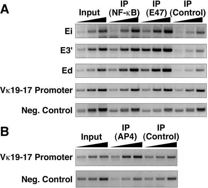 FIG. 11.