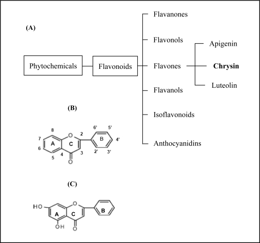 Figure 1.