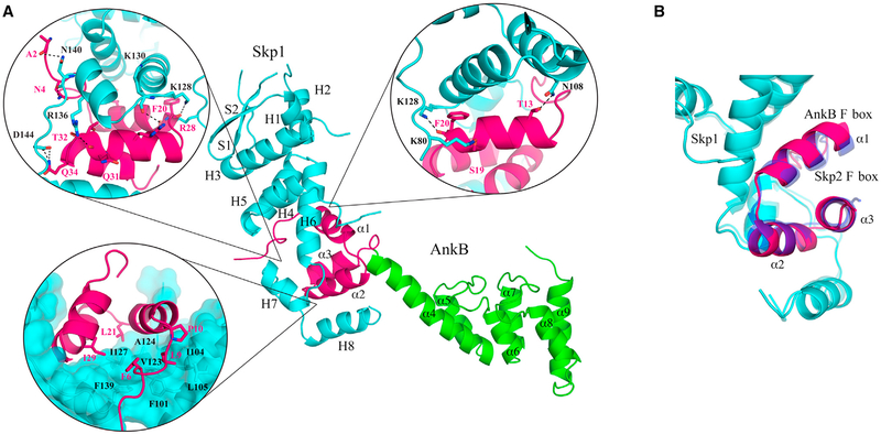 Figure 2.