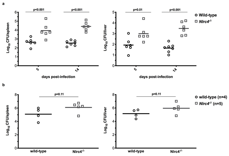 Extended Data Figure 1