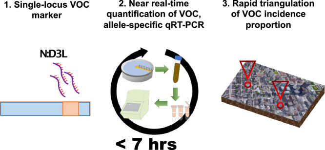 Image, graphical abstract