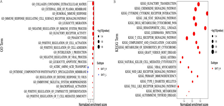 Fig. 8