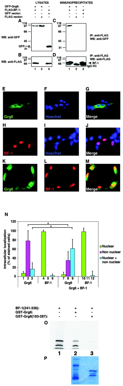 FIG.3.