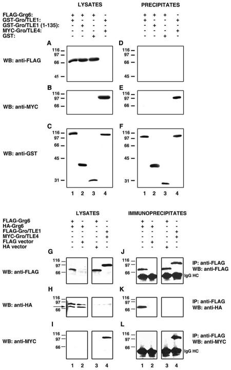 FIG. 7.