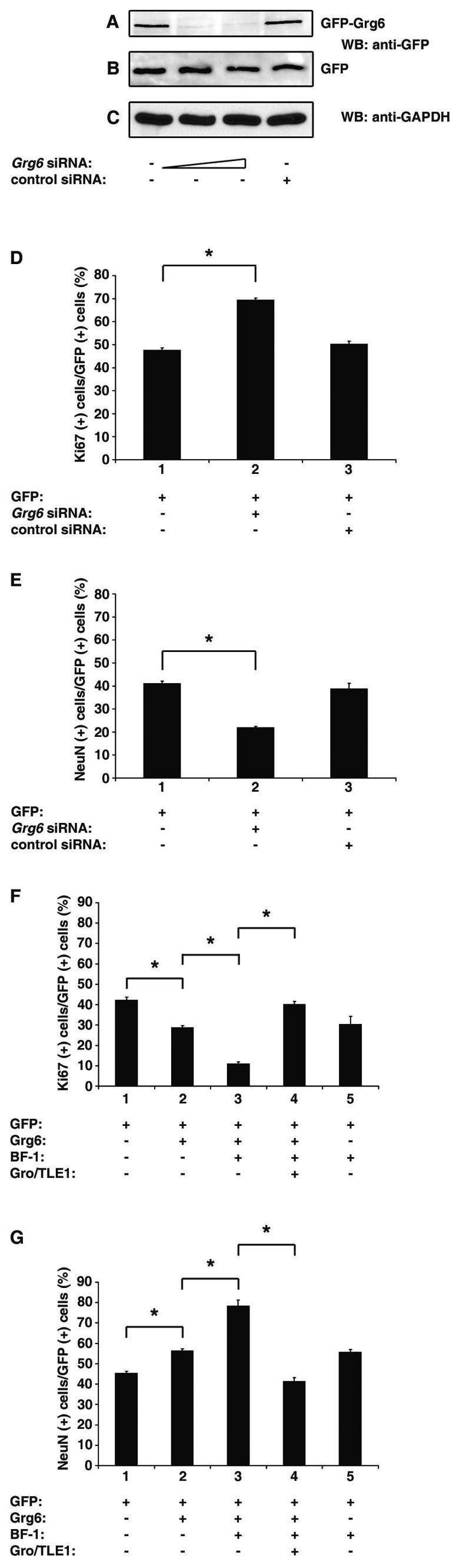 FIG.9.